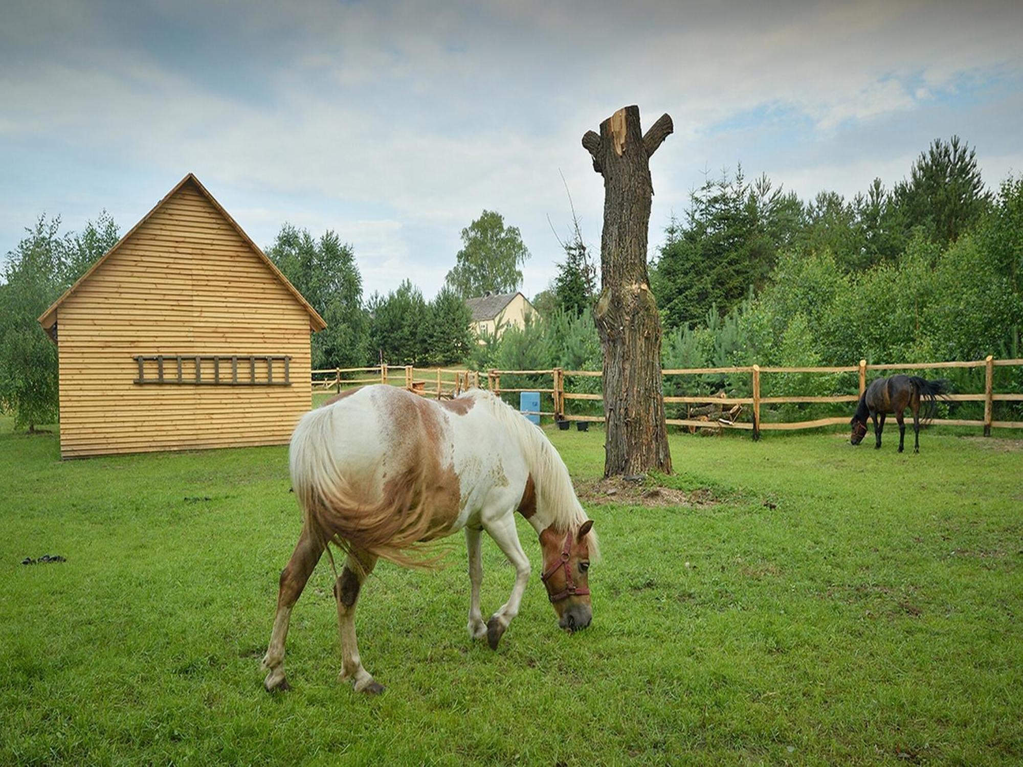Wooden Holiday Home In Skrzynia With Terrace Osiek  Luaran gambar